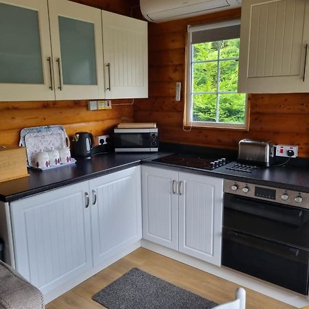 Mountain View Log Cabin In Snowdonia Nr Coed Y Brenin Tanygrisiau Εξωτερικό φωτογραφία