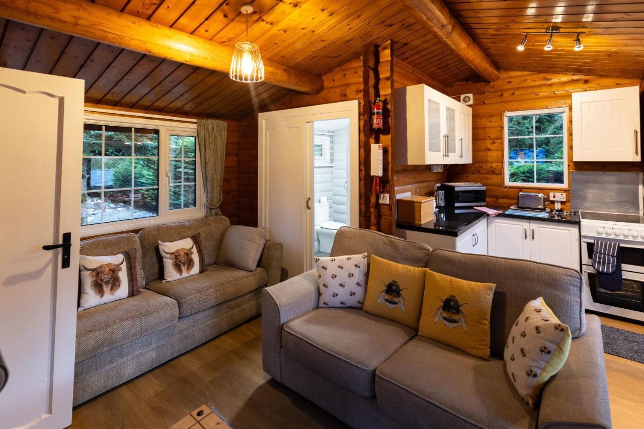 Mountain View Log Cabin In Snowdonia Nr Coed Y Brenin Tanygrisiau Εξωτερικό φωτογραφία