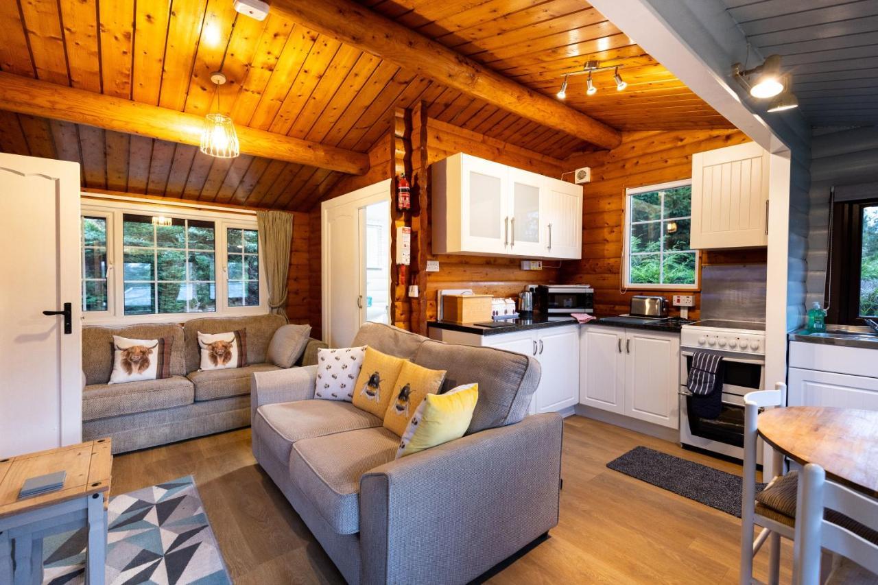 Mountain View Log Cabin In Snowdonia Nr Coed Y Brenin Tanygrisiau Εξωτερικό φωτογραφία