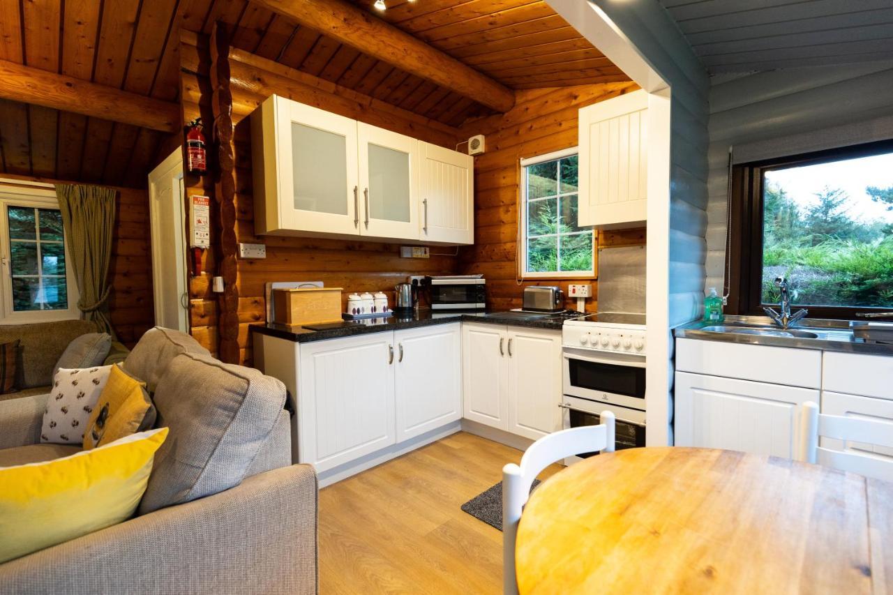 Mountain View Log Cabin In Snowdonia Nr Coed Y Brenin Tanygrisiau Εξωτερικό φωτογραφία